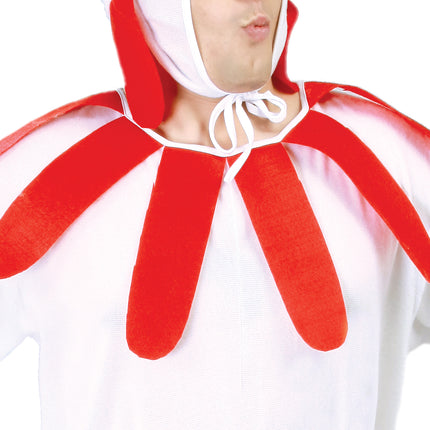 Traje de Pollo Blanco