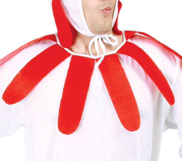 Traje de Pollo Blanco