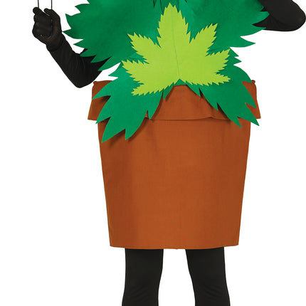 Disfraz de Planta de Caña L