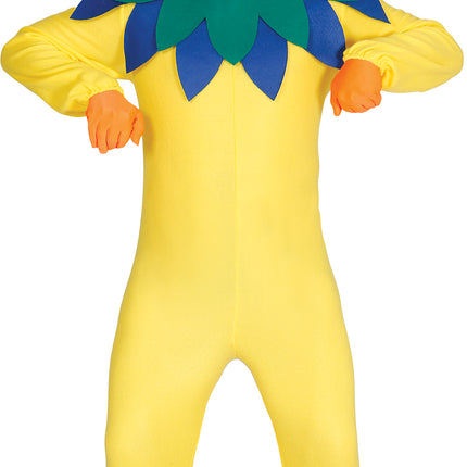 Disfraz de pollo