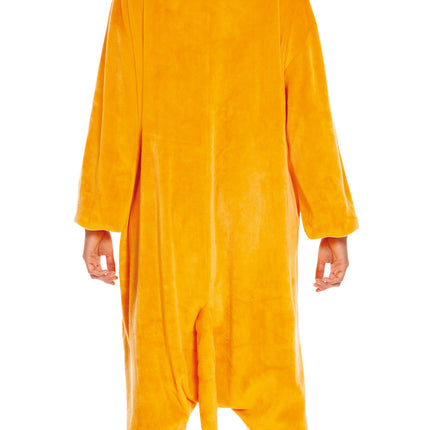 Onesie Pokemon Charmander