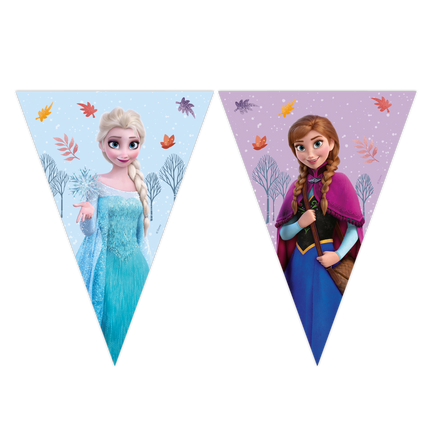 Guirnalda de papel Frozen Idyllic Wonder