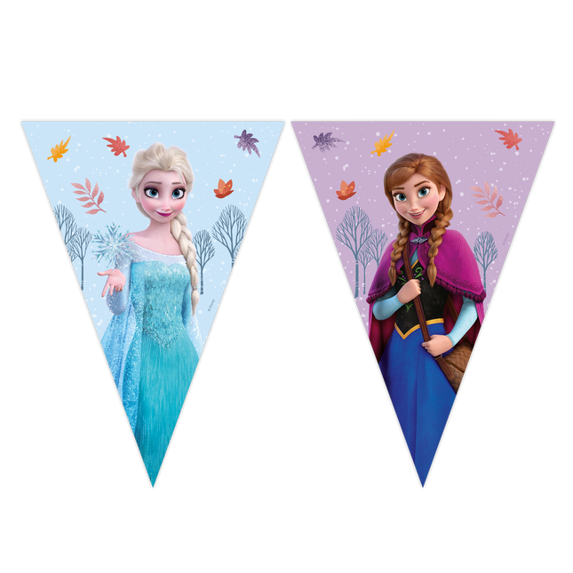 Guirnalda de papel Frozen Idyllic Wonder