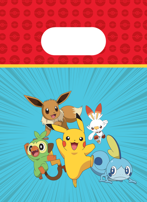Pokemon Bolsas Compartidas 22cm 4pcs