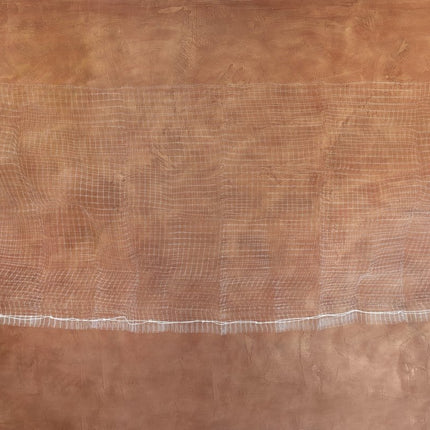 Ballonnen Valnet Voor 100 Ballonnen van WeFiesta koop je bij Partywinkel