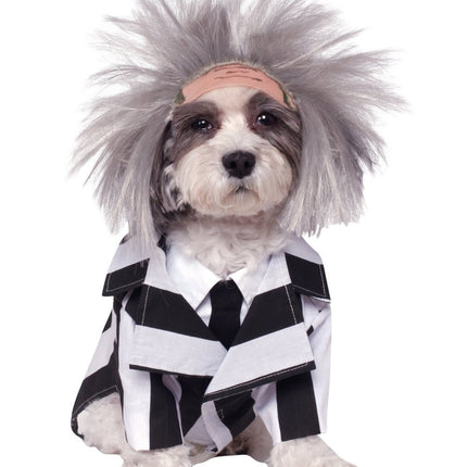 Beetlejuice Honden Kostuum van Rubies koop je bij Partywinkel