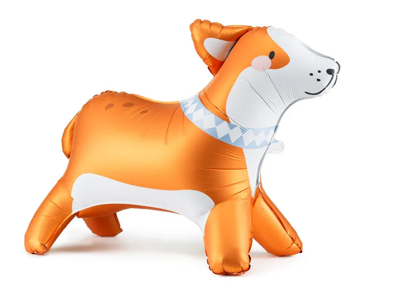 Globo de pie Corgi, 88x70 cm, mezcla