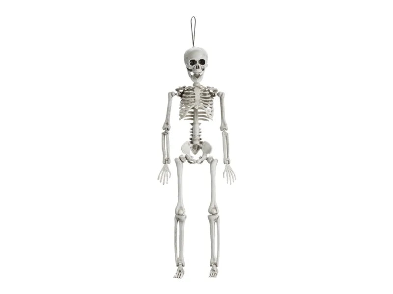 Halloween Esqueleto Blanco 40cm