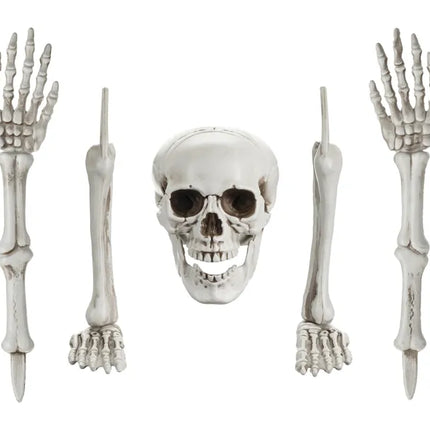 Halloween Esqueleto 5 piezas