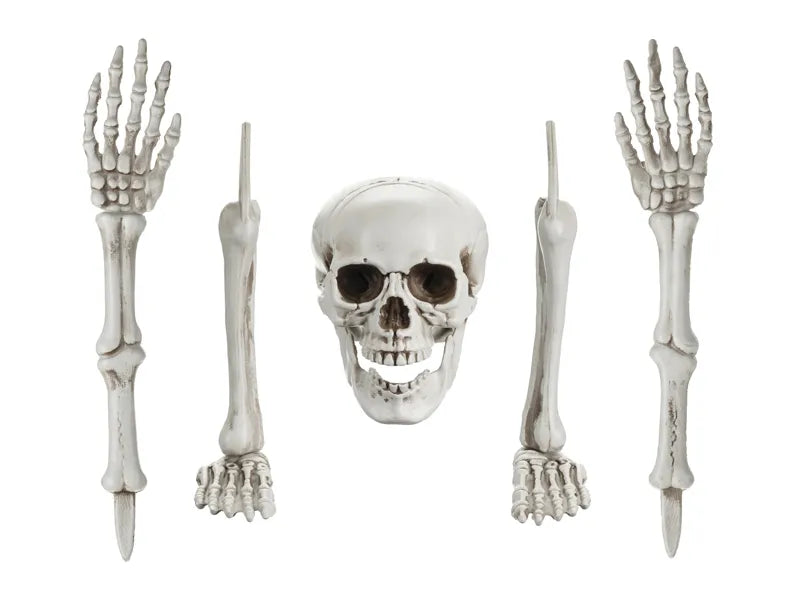 Halloween Esqueleto 5 piezas