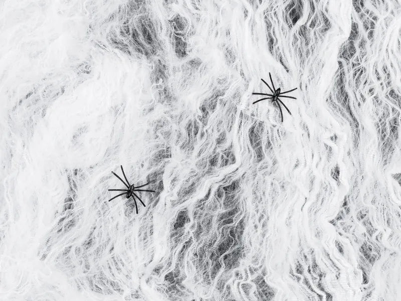 Telaraña Halloween Blanca Con 2 Arañas Negras 200gr