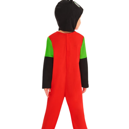 Disfraz de Bing Niño