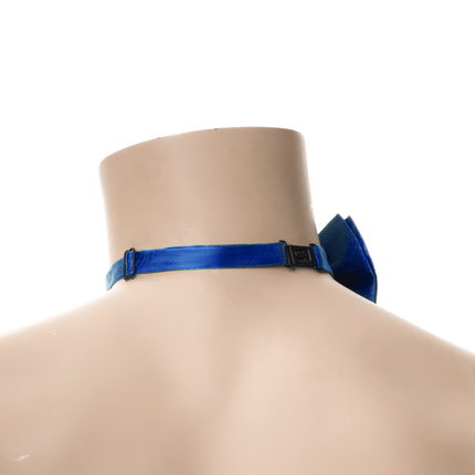 Blauwe Vlinderdas van Partychimp koop je bij Partywinkel