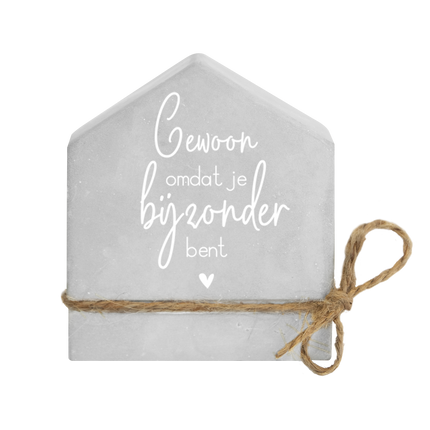 Cemento Gris Especial Casa 8cm