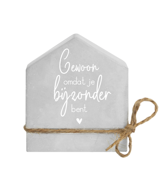 Cemento Gris Especial Casa 8cm