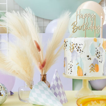 Droogbloemen Pampas 1,1m van Partydeco koop je bij Partywinkel