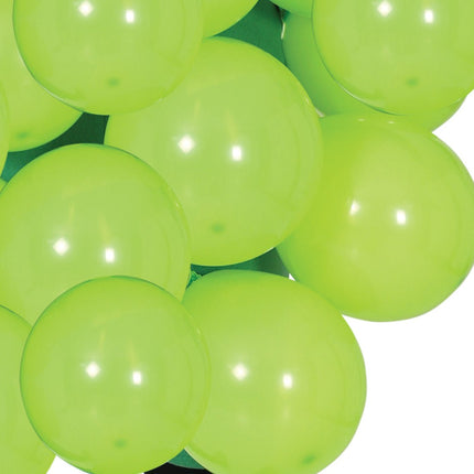 Druiven Kostuum van Fiestas Guirca koop je bij Partywinkel