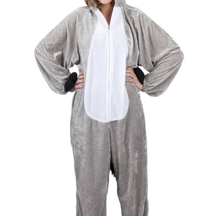 Ezel Pak van Boland koop je bij Partywinkel