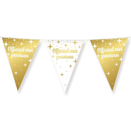 Fiesta de disfraces Flag line foil - Pensión