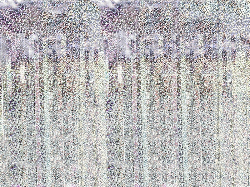 Cortina de puerta plateada holográfica 2,5 m