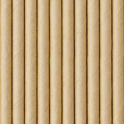 Pajitas de Papel Cartón 19,5cm 250pcs