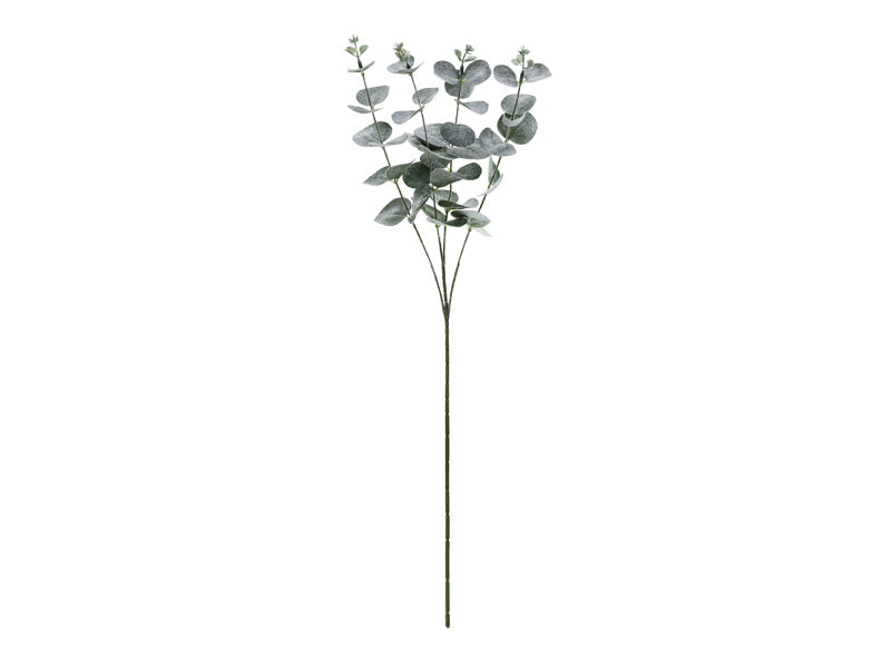 Hoja Flores Secas Eucalipto 60cm