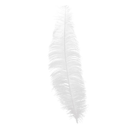 Plumas de avestruz blancas 40cm 12uds.