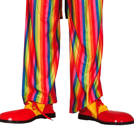 Zapatos de payaso