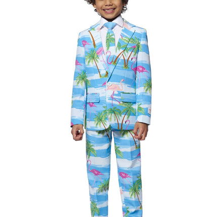 Traje Hawaii Niño Flamingo