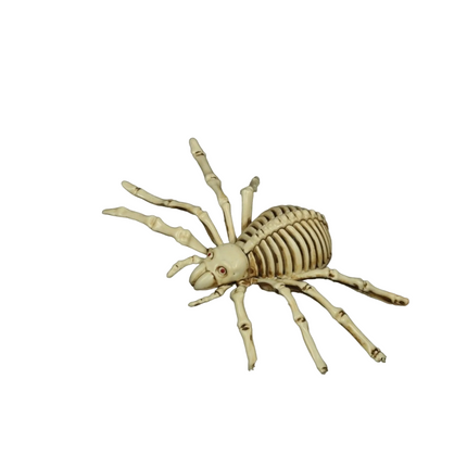 Halloween Esqueleto Araña 24cm