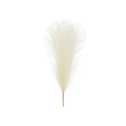 Flores secas Pampas 45cm