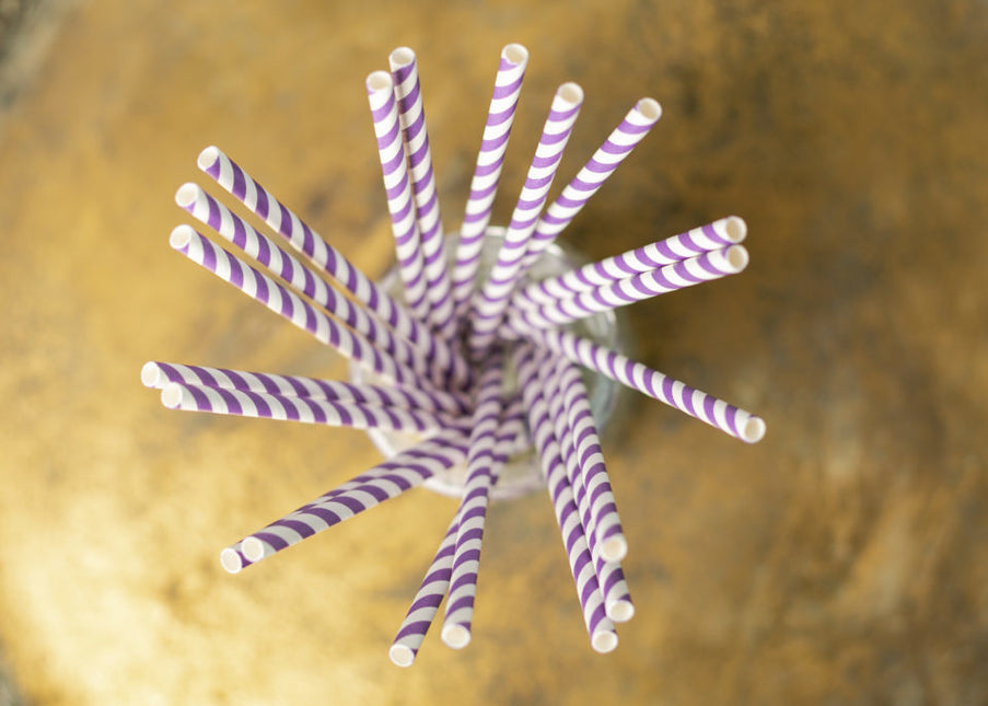 Pajitas de Papel Rayas Moradas 19.7cm 20pcs