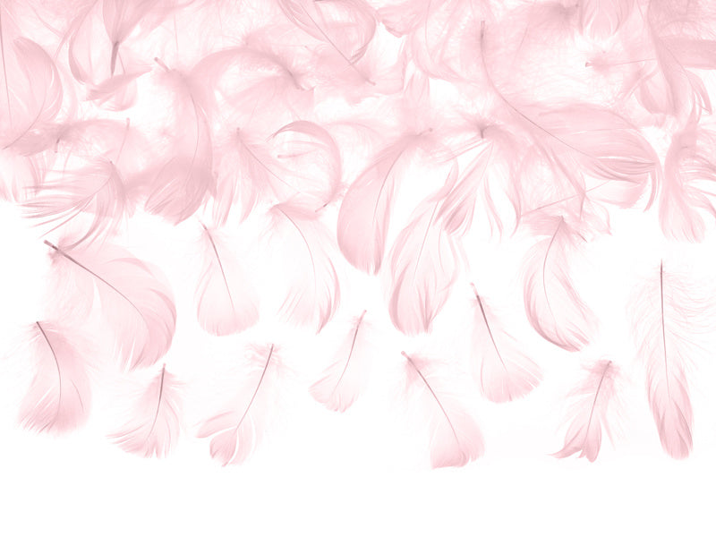 Plumas decorativas rosas 3g
