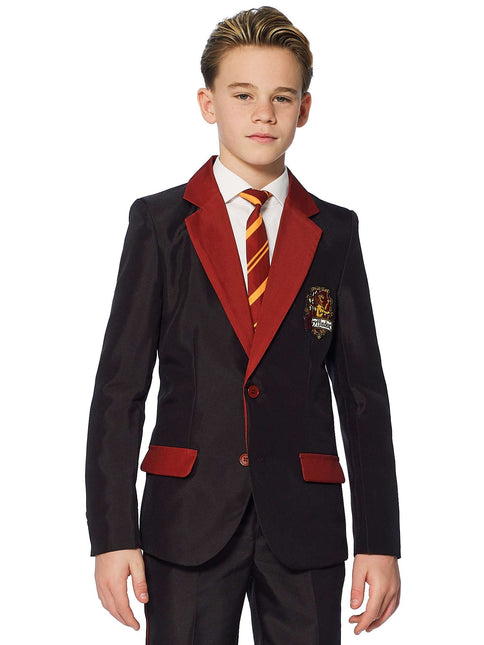 Traje Harry Potter Niño Gryffindor