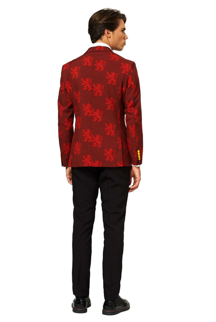 Traje Harry Potter Hombre