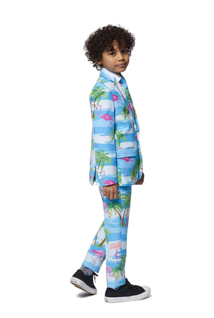 Traje Hawaii Niño Flamingo