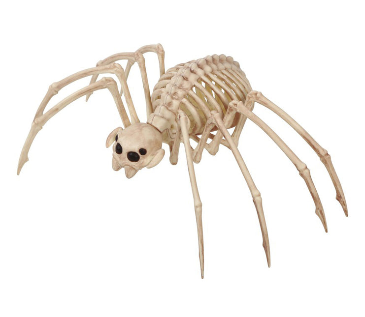 Halloween Tarántula Esqueleto 35x20cm