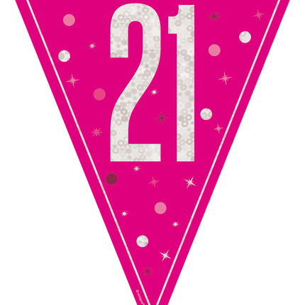 21 Años Guirnalda Rosa 2,5m