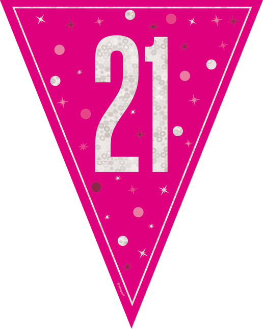 21 Años Guirnalda Rosa 2,5m