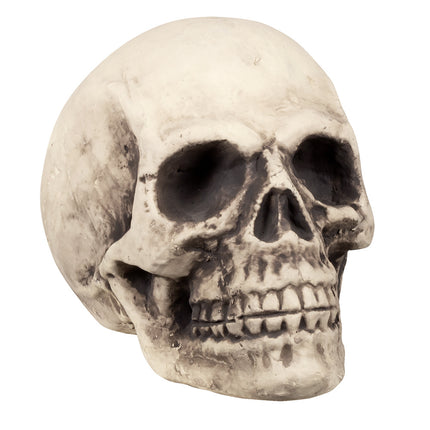 Calavera de Halloween 38cm