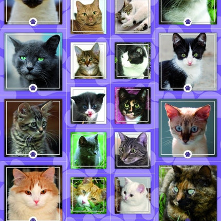 Pegatinas de gatos