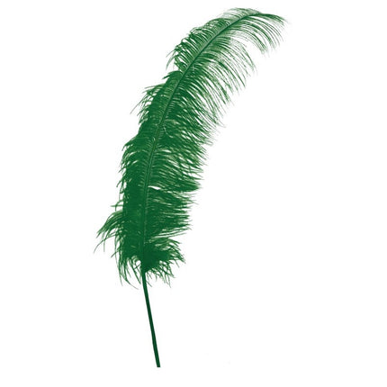 Plumas de avestruz verdes 50cm 12uds.
