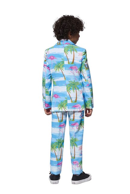 Traje Hawaii Niño Flamingo