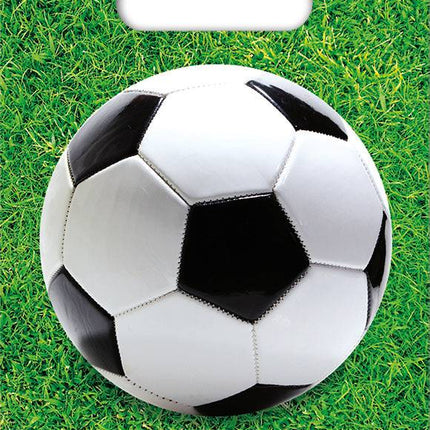 Bolsas Compartidas Fútbol Decoración 23cm 6pcs