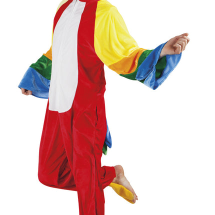 Traje de loro
