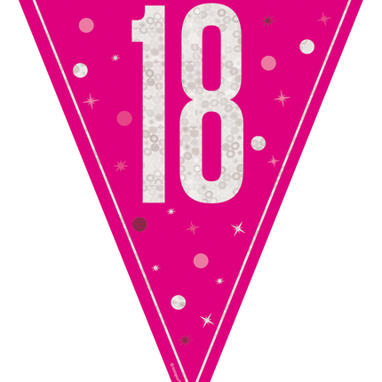18 Años Guirnalda Rosa 2,5m