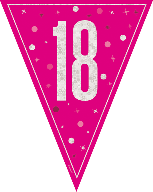 18 Años Guirnalda Rosa 2,5m