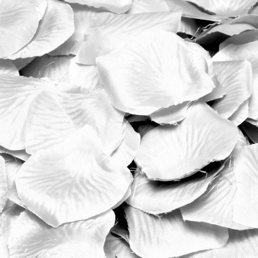 Pétalos de rosa blanca 144uds.