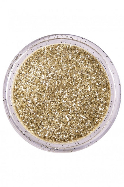 PXP Purpurina en Polvo Plata Holandesa 2,5gr