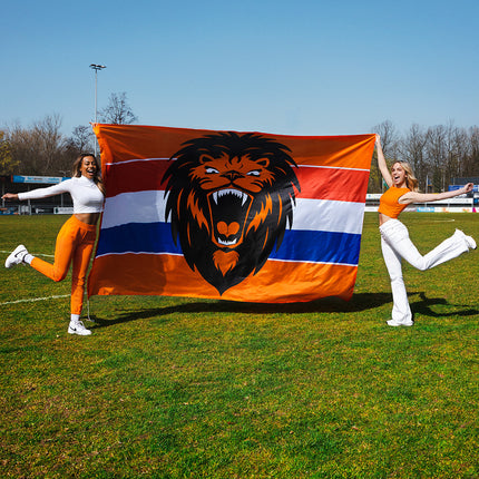Bandera de pared León rugiente Xxl 3m